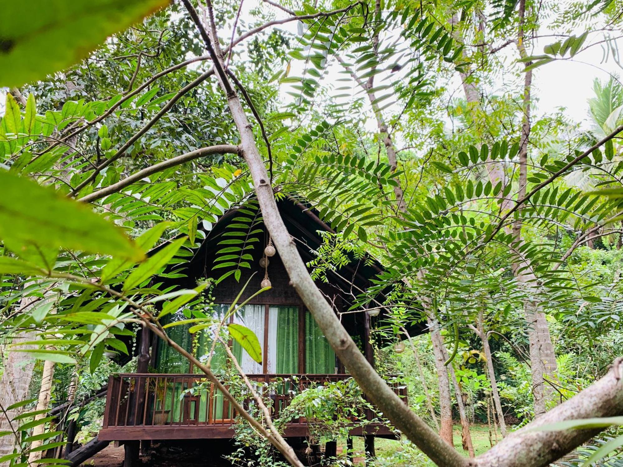 Nature World Udawalawe Rum bild
